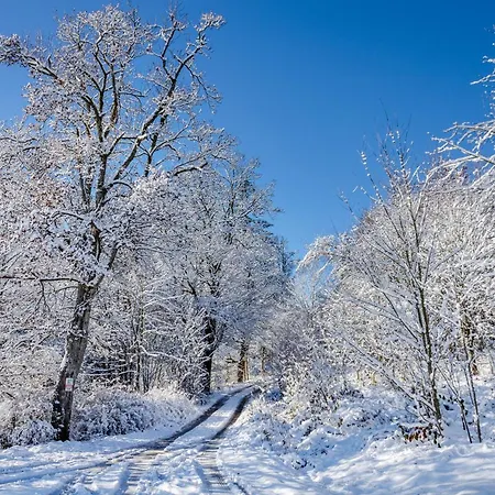Apartamento Stadt-loft Mit Dachterrasse