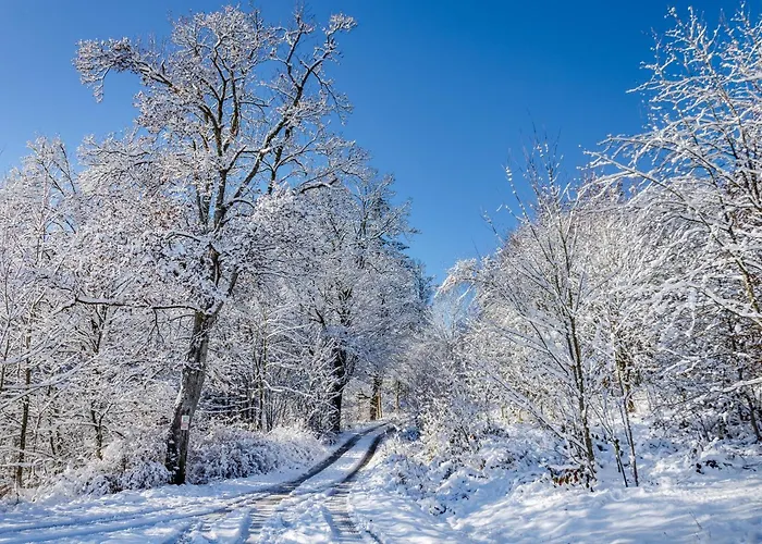 Apartment Stadt-loft Mit Dachterrasse